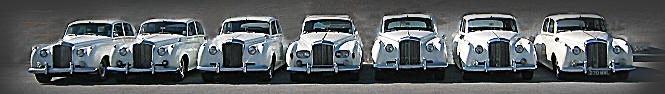 boston wedding limo rental lineup
